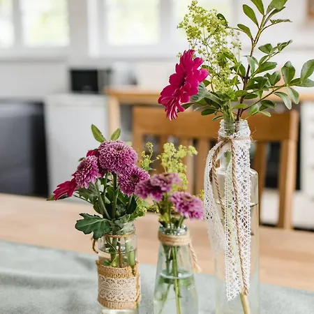 Appartement Kleine Auszeit Obersinn