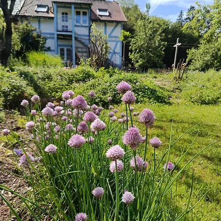 Kleine Auszeit Appartement *