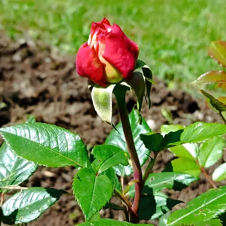Kleine Auszeit * Obersinn
